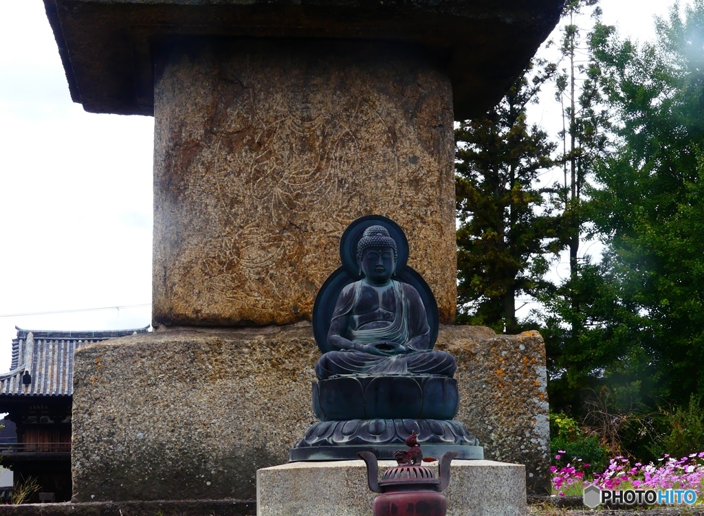 コスモス寺で―２０　薬師如来坐像