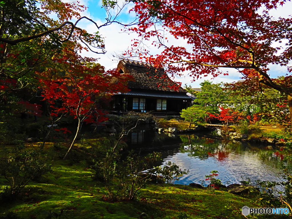 依水園ー２　前園