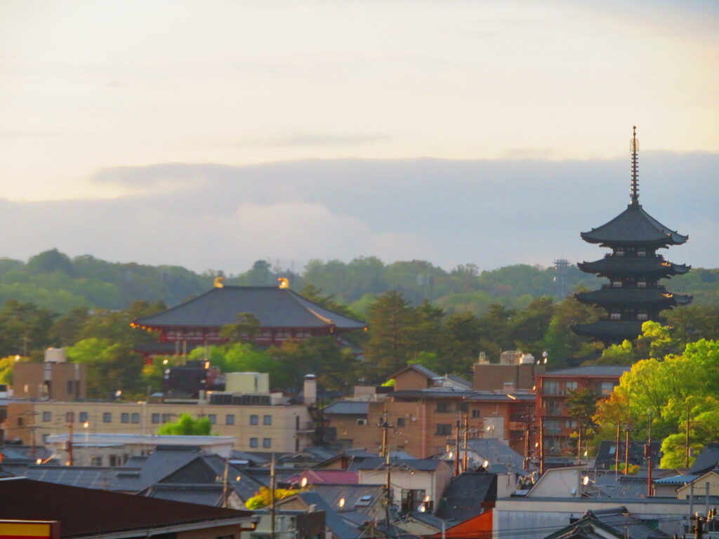 もうすぐ退院