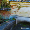 依水園ー６　蔦這う土塀