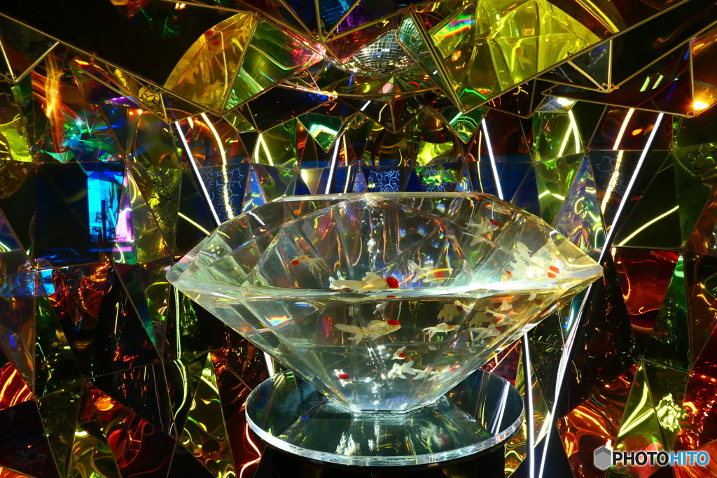 金魚ミュージアム2022ー６