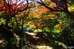 錦の里の紅葉　２