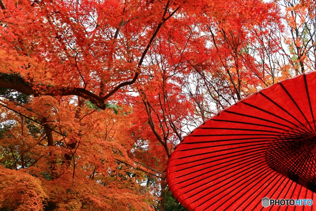 水谷茶屋の紅葉　２