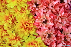 flower　１
