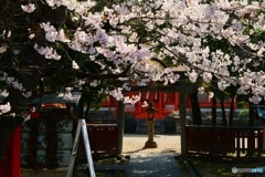 藥師寺八幡宮ー３