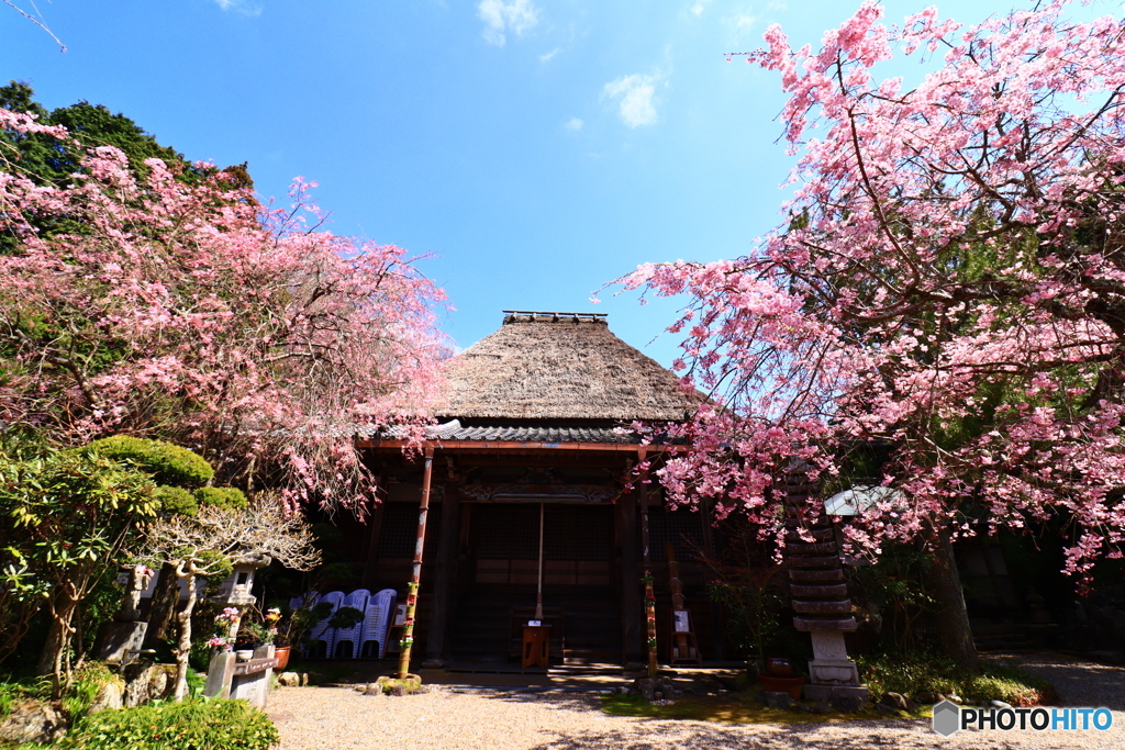 西念寺  4