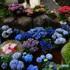 華の池