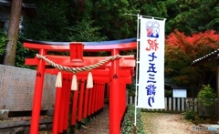 一言主神社の赤鳥居と紅葉
