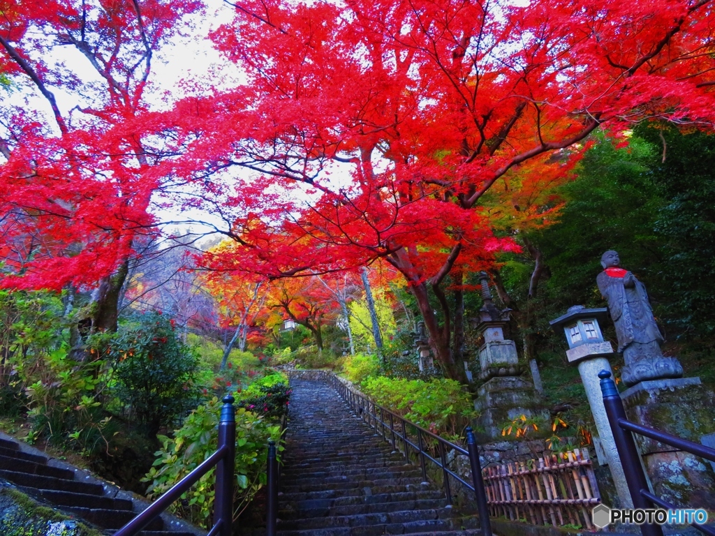 長谷寺　繋屋