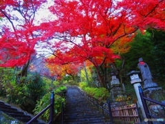 長谷寺　繋屋