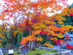 長谷寺　三重塔跡