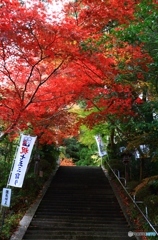 一言主神社の紅葉