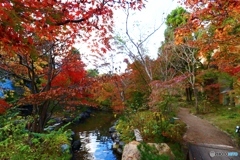 紅葉谷散策　２