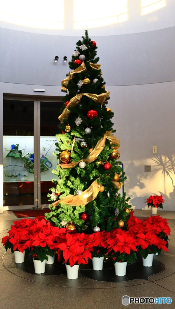 クリスマスはもうすぐ・・・