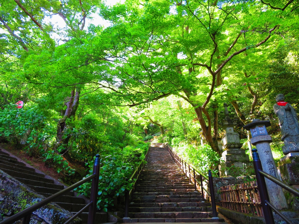 新緑の長谷寺