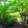 新緑の長谷寺