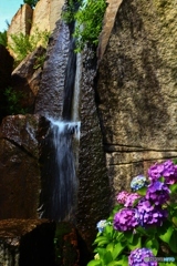 人工の滝と紫陽花