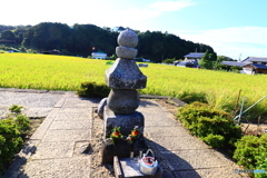 明日香村の秋　２