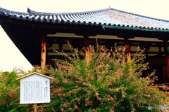萩の寺