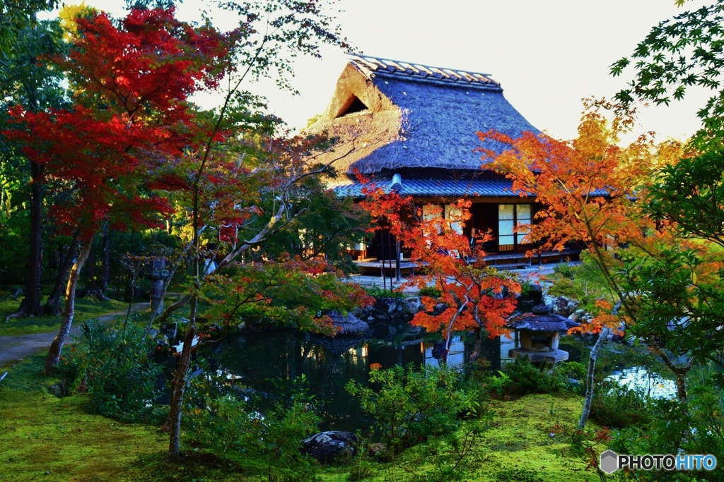 依水園　茶室