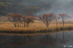 秋彩