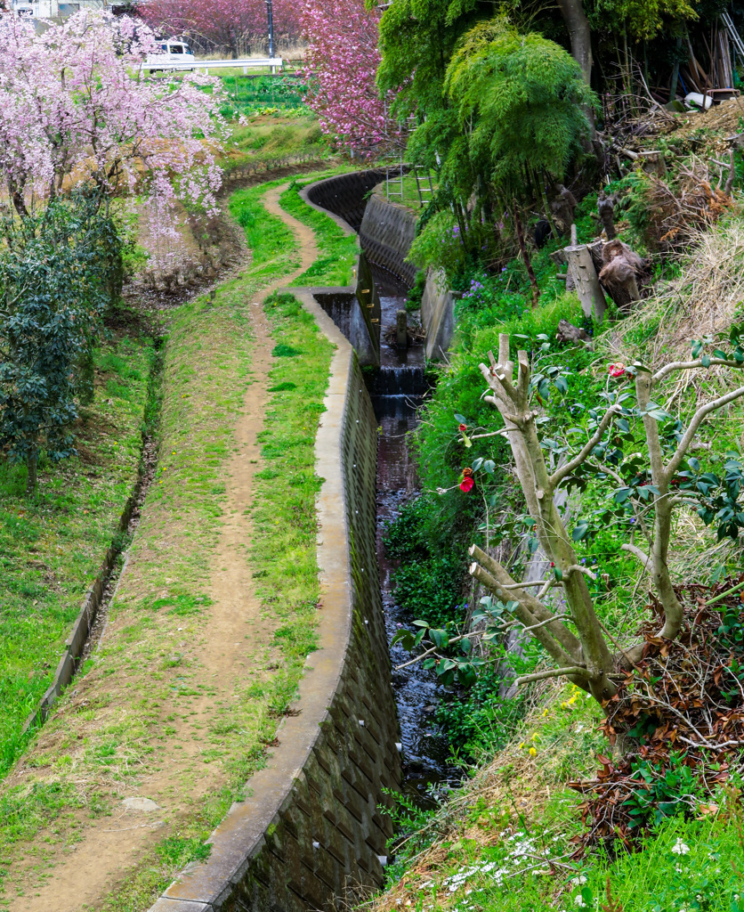 水路脇の通り道