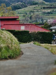 赤い屋根