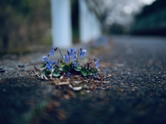 どんな場所でも