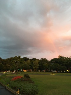 しいのき迎賓館から見た空