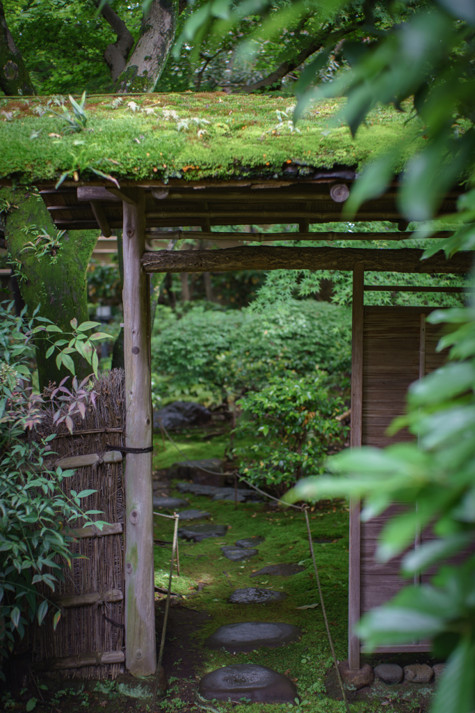 苔の門