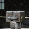 雨中