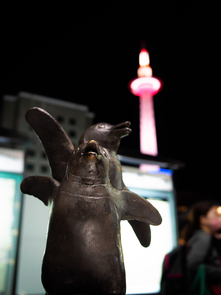 出迎えはペンギン