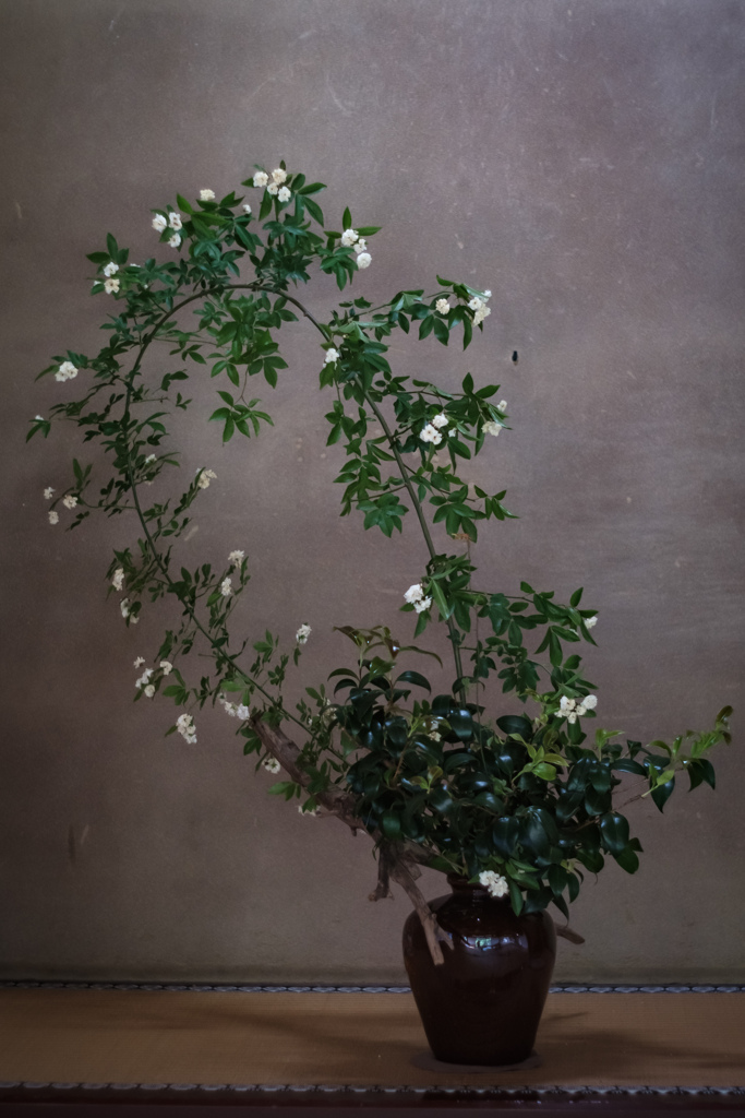 床の間の花