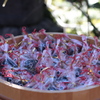 a fortune-telling lot