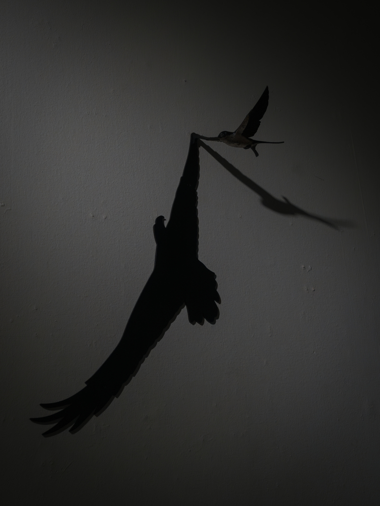 Eagle's hearts