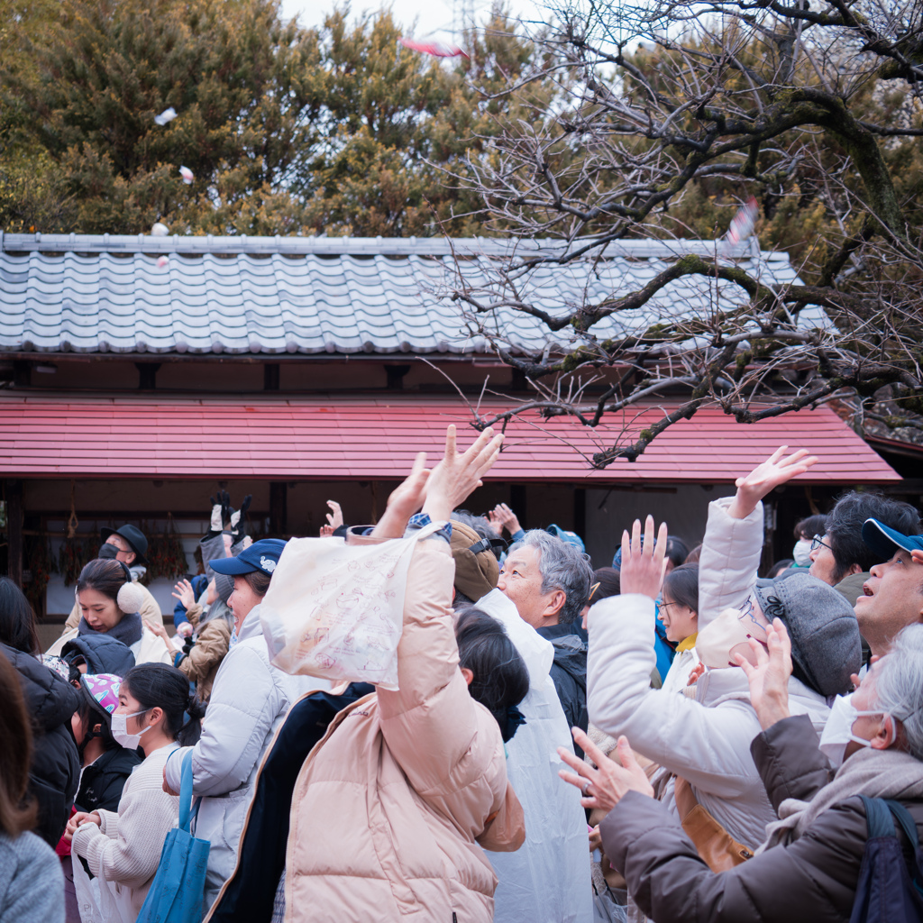 大人も盛り上がる