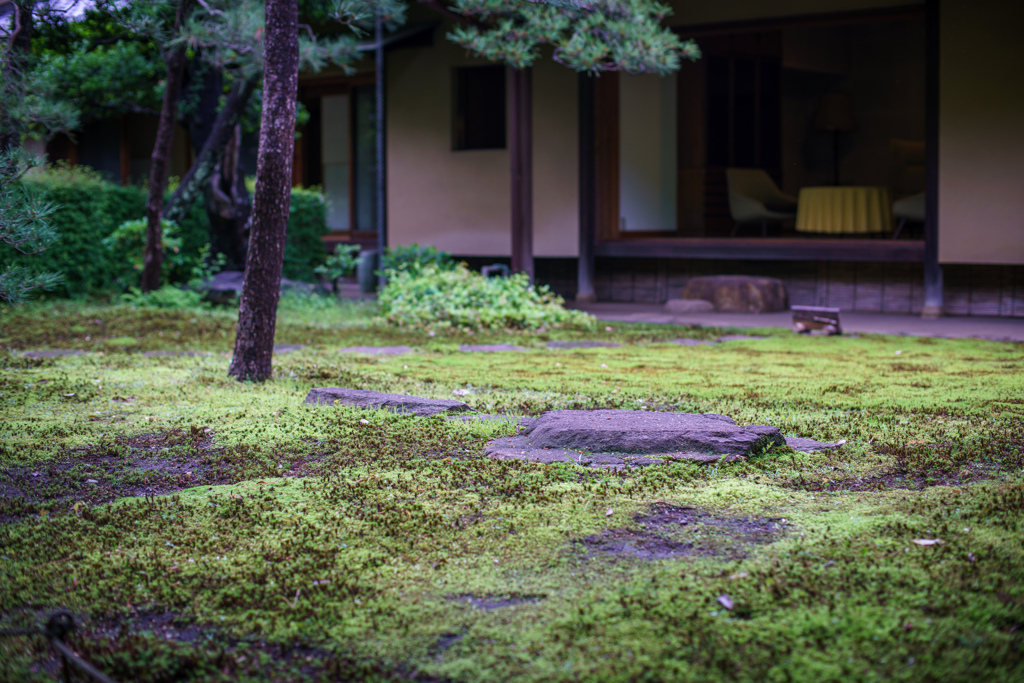 苔の庭