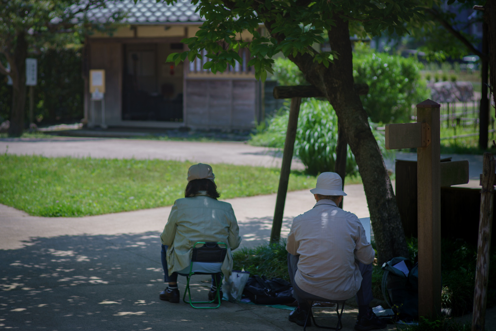 背中