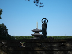 菩薩