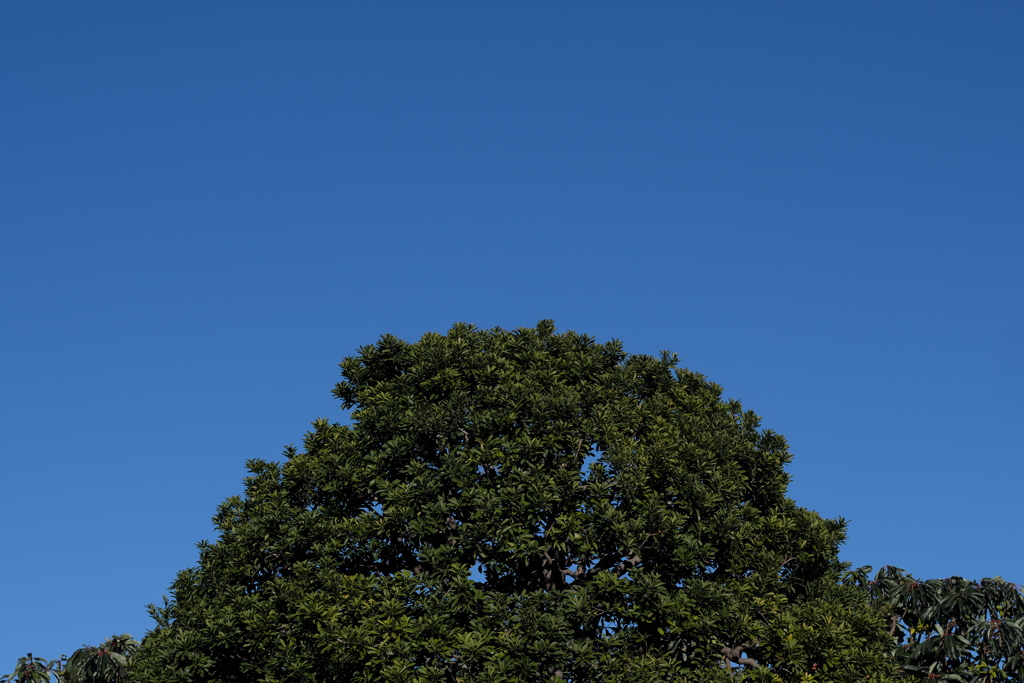 師走の空