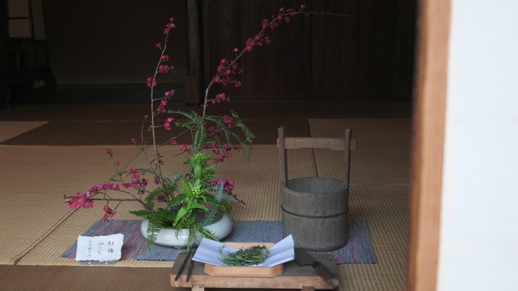 人日の節句 1