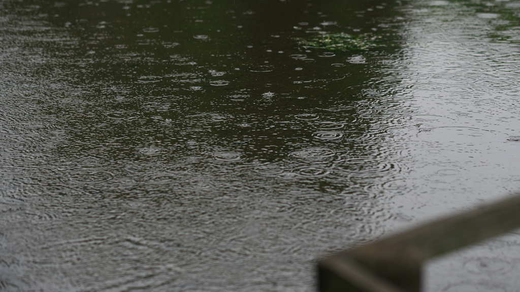 雨模様
