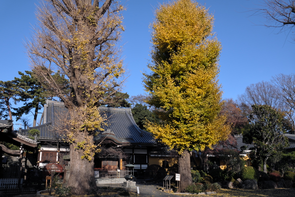 お寺