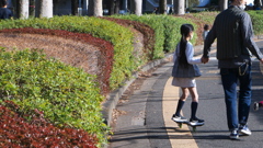 グラデーションな植え込み