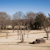 公園