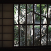 網戸越しの景色