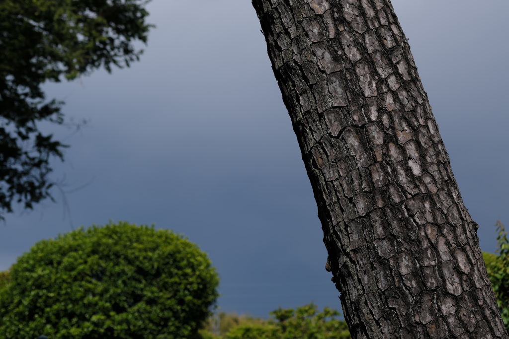 通り雨の空