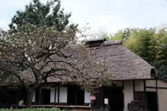 民家園