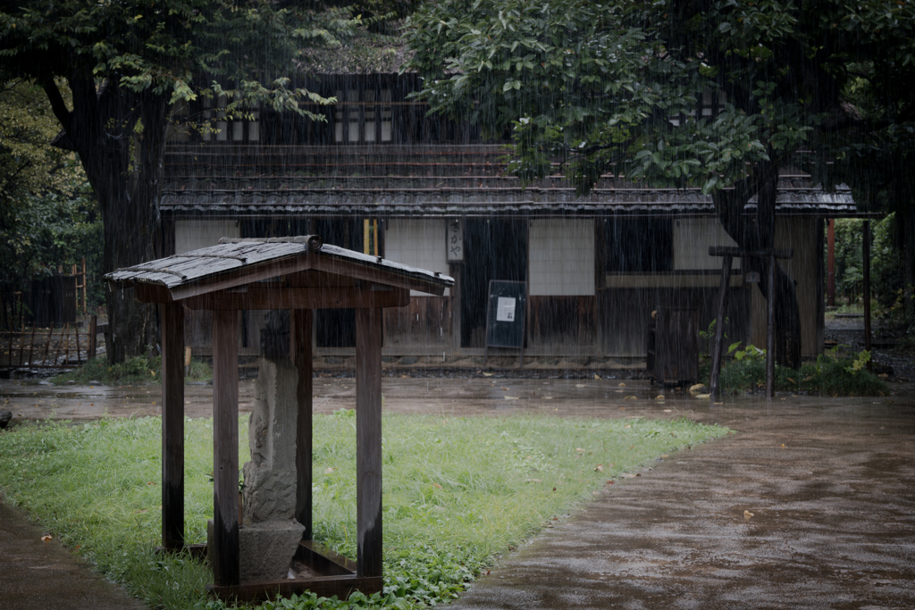 降りしきる雨