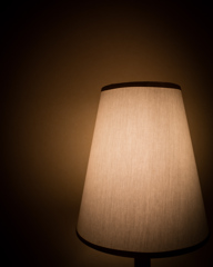 Lamp Shade